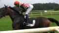 Jockeys with racing horses enter the course HD Footage