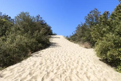 Jockey's Ridge State Park in Outer Banks, North Carolina, USA Foto stock