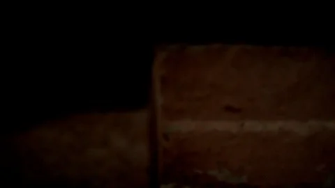 Jodhpur fort Stock Footage 111787784