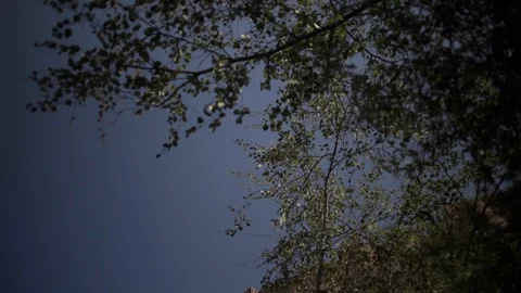 Jodhpur fort Stock Footage 111788065