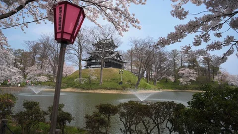 Joetsu Castle view during cherry blossom Stock Footage 128303520