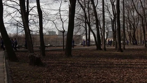A jog in the spring park Stock Footage 74798082