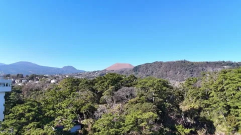 Jogasaki Coast Pine Forest Lighthouse and Mountain Aerial Stock Footage 329059864