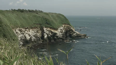 Jogashima view close up cliff, non color graded Full HD (1920x1080) 動画素材 39771306