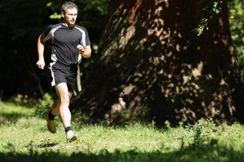 Joggen im Wald Stock Photos