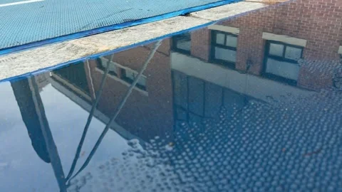Jogger and Building Reflected in Rain Puddle on Blue Sports Flooring Video stock 347283452