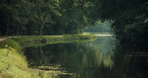 Jogger on a dirt path by a still river Stock-Footage 91891756
