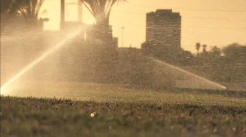 Jogger Stock Footage 721016