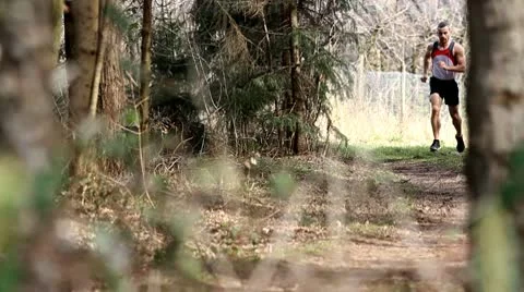 Jogger in the forest Video stock 10719204