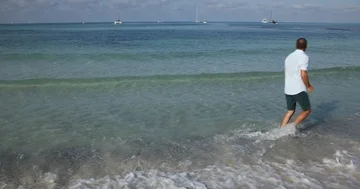 Jogger Man Doing Jogging on Coast Beach Ocean Fitness Activity Panoramic Scene Stock Footage 85546619