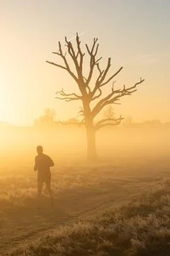 Jogger in mist Stock Photos
