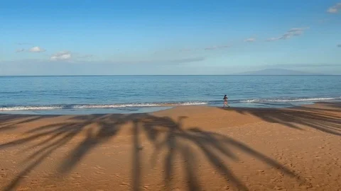 Jogger running on beach with dog Stock Footage 86338693