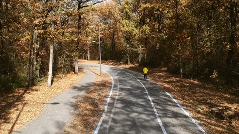 Jogger running in the park Stock Footage 97818297