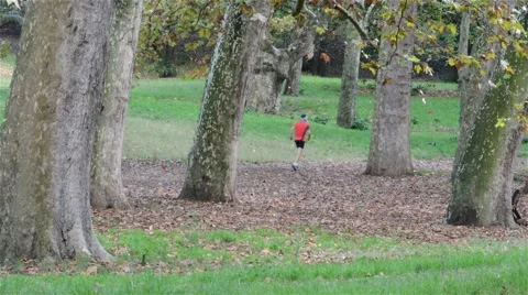 Jogger running through park, seen through the trees Video stock 65826677