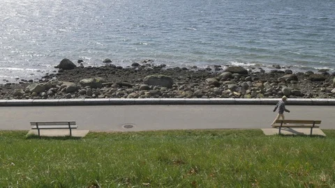 Jogger on seawall Stock Footage 87996143