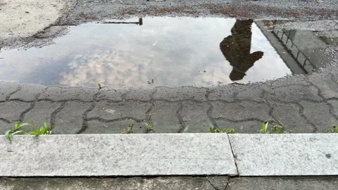 Jogger Silhouette Reflected in Rain Puddle on Wet Pavement After Rain Vidéo 347283491