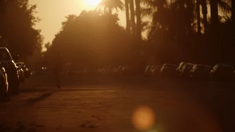 Jogger Sunset Stock Footage 114109679