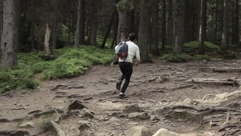 Jogger on trail in the forest Stock Footage 74508461