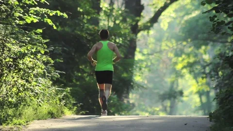 Jogger on trail in the forest Stock Footage 74508611