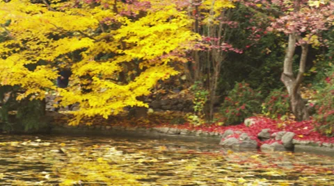 Joggers in Autumn Stock Footage 35319785