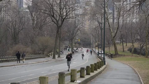 Joggers in Central Park in Winter in New York City Video stock 102464340