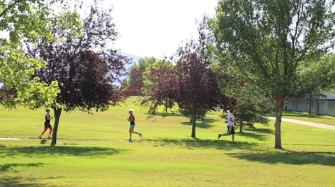 Joggers pass trees in park Vídeos de archivo 68777060