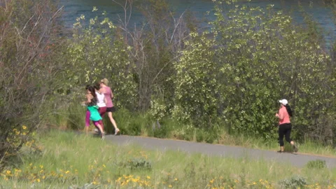 Joggers on recreation trail Video stock 278200154