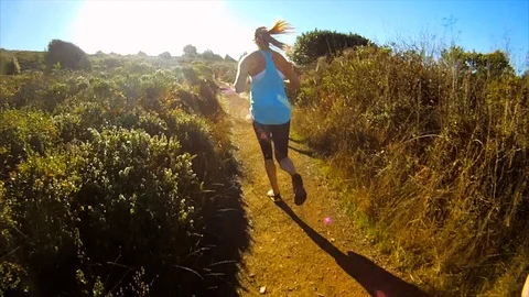 Joggers running along a path surrounded by trees and bushes. Video stock 88404311