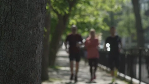 Joggers in the Sun Stock Footage 93200512