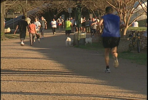 Joggers2 Stock Footage 94805