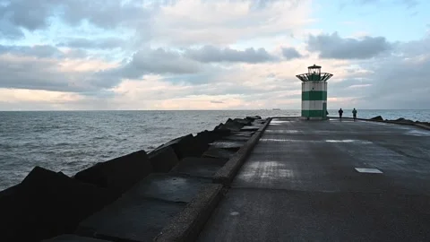 Jogging in afertenoon Stock Footage 262985318