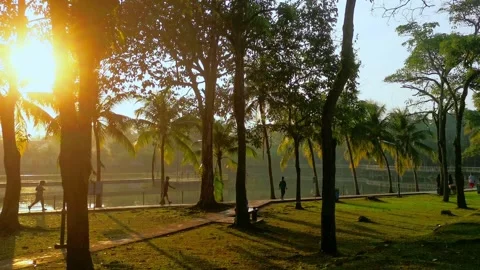Jogging along the lake Stock Footage 316274754