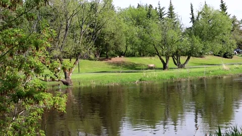 Jogging Along Sturgeon River Stock Footage 131476264
