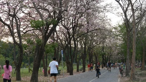 Jogging and cycling in park Stock Footage 104843385