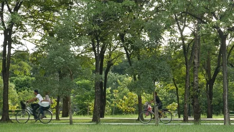 Jogging and cycling under trees Stock Footage 103784300