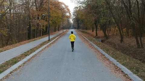 Jogging in the autumn forest Stock Footage 98579850
