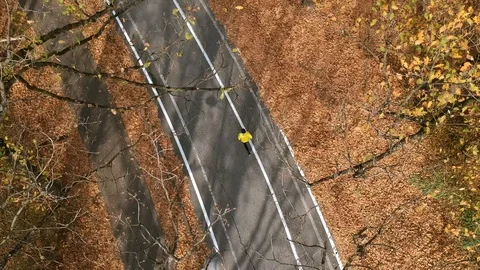 Jogging in the autumn forest Stock Footage 98584502