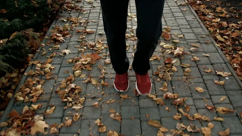 Jogging on autumn leaves Stock Footage 98554359