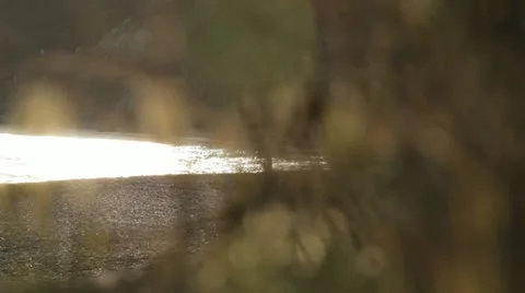 Jogging on the beach. Stock Footage 22156993