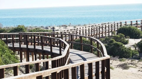 Jogging to the beach Stock Footage 89684575