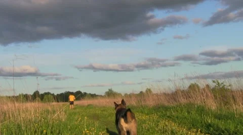 Jogging Stock-Footage 11053086