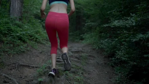  Jogging In A Forest Among Trees Young Woman  Stock Footage 112736094