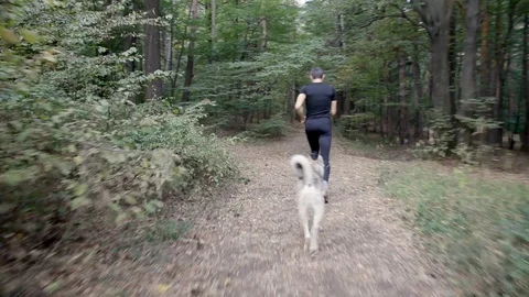 Jogging in the forest with a dog Stock Footage 89164526