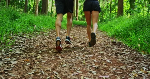 Jogging in the Forest Stock Footage 67470727