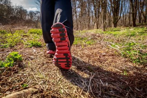 Jogging in the forest Stock Photos