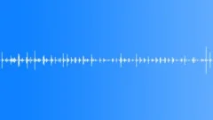 Jogging on a Forest Road sound effect 02 Sound Effect