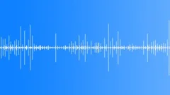 Jogging on a Forest Road sound effect 03 Sound Effect