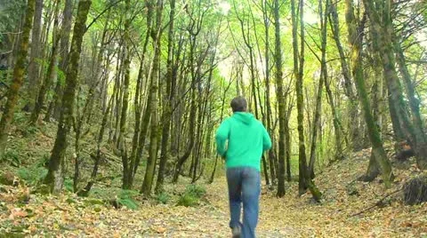 Jogging Man on Forest Path 2 Stock Footage 12144439