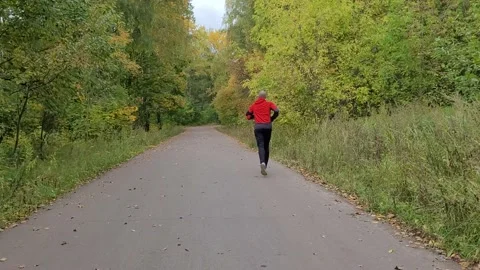 Jogging in the park in autumn Stock-Footage 212405565