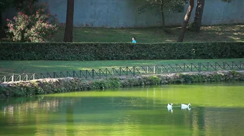 Jogging at park  Stock Footage 8567705